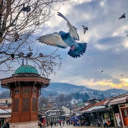 A Charming In The Heart Of 아파트